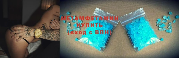 прущие грибы Абаза