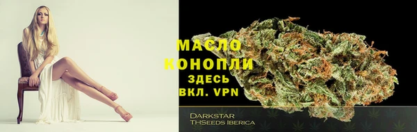 дмт Алексеевка