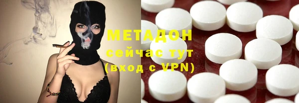 прущие грибы Абаза