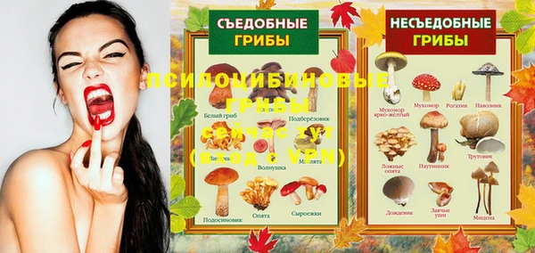 мескалин Абинск